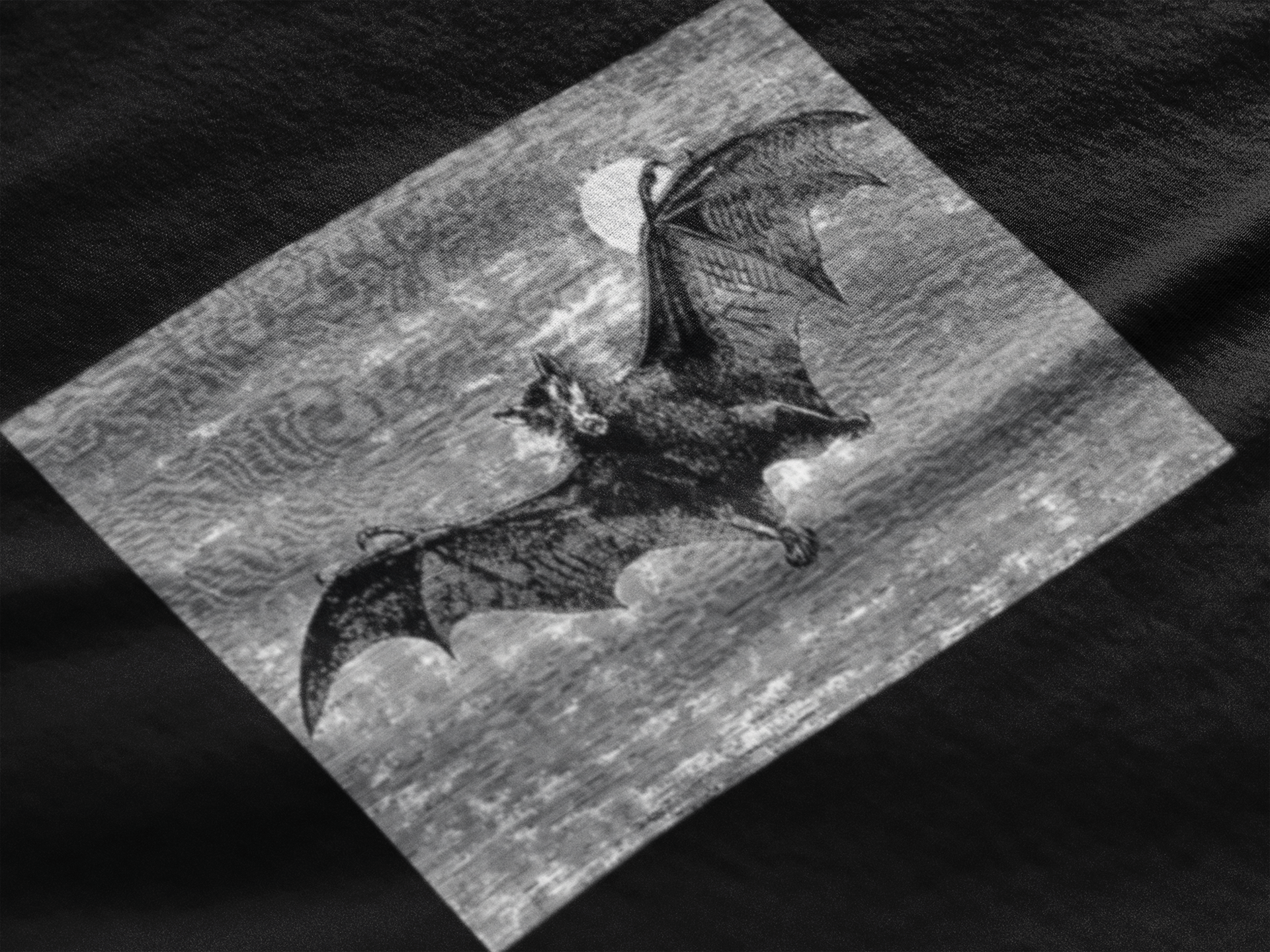 T-shirt Chauve-souris DEBUNK