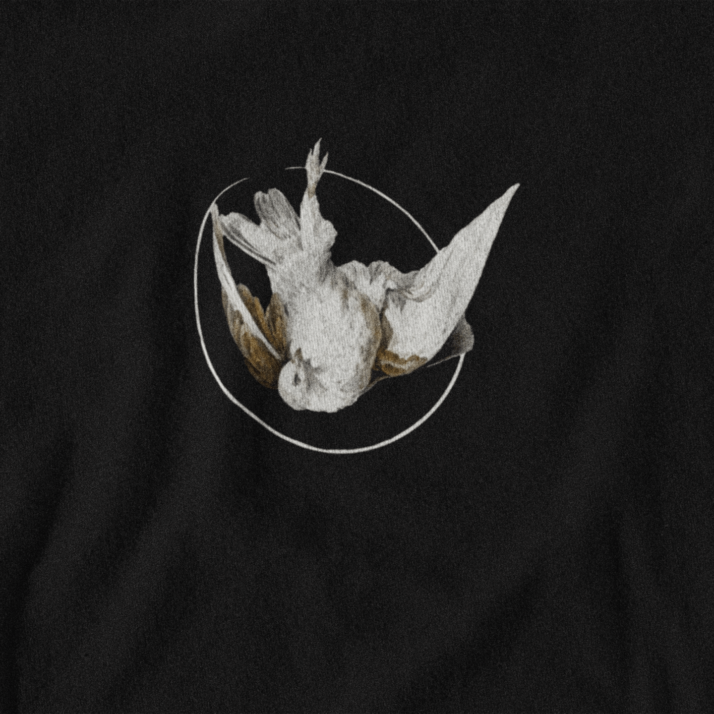 T-shirt Pigeon DEBUNK