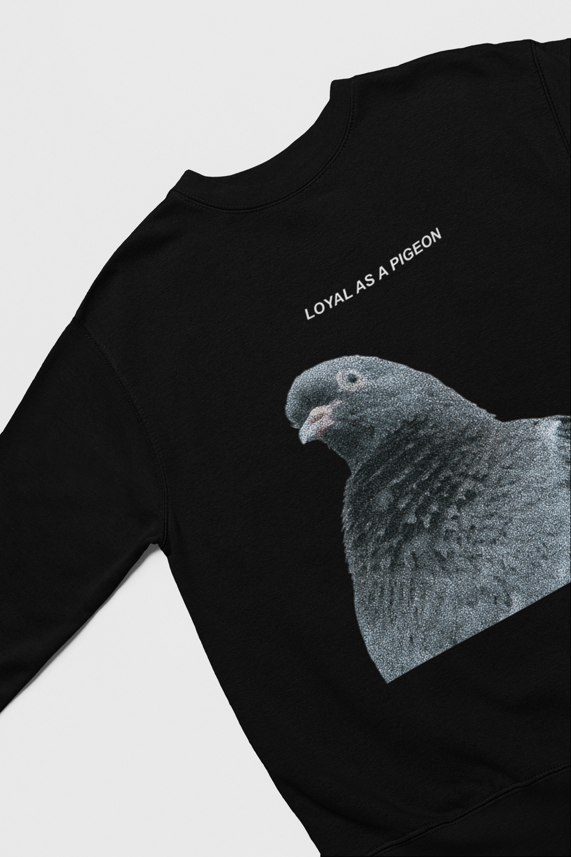Sweat Pigeon LOYAL AS A PIGEON | Capsule ALCHIMIE