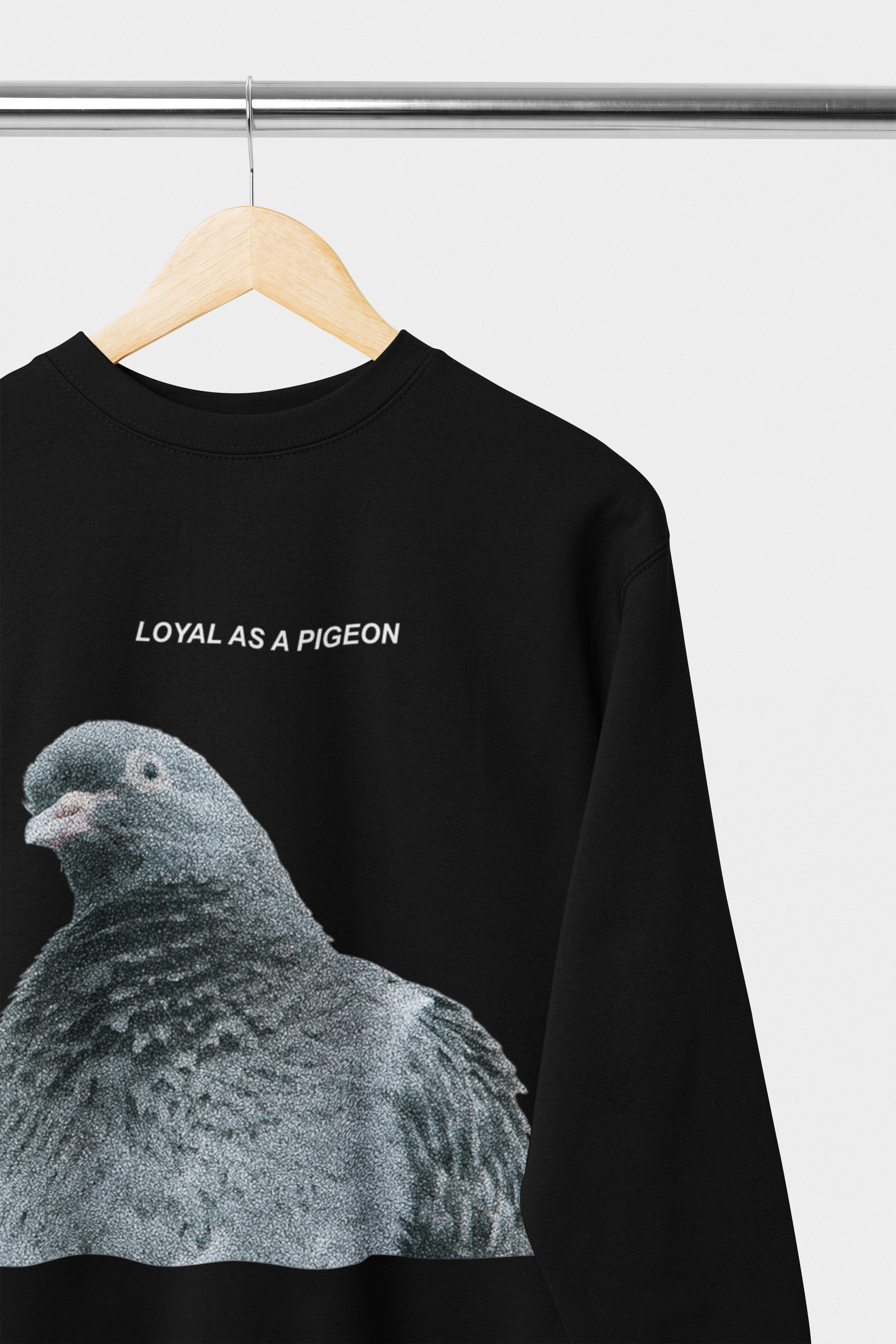 Sweat Pigeon LOYAL AS A PIGEON | Capsule ALCHIMIE