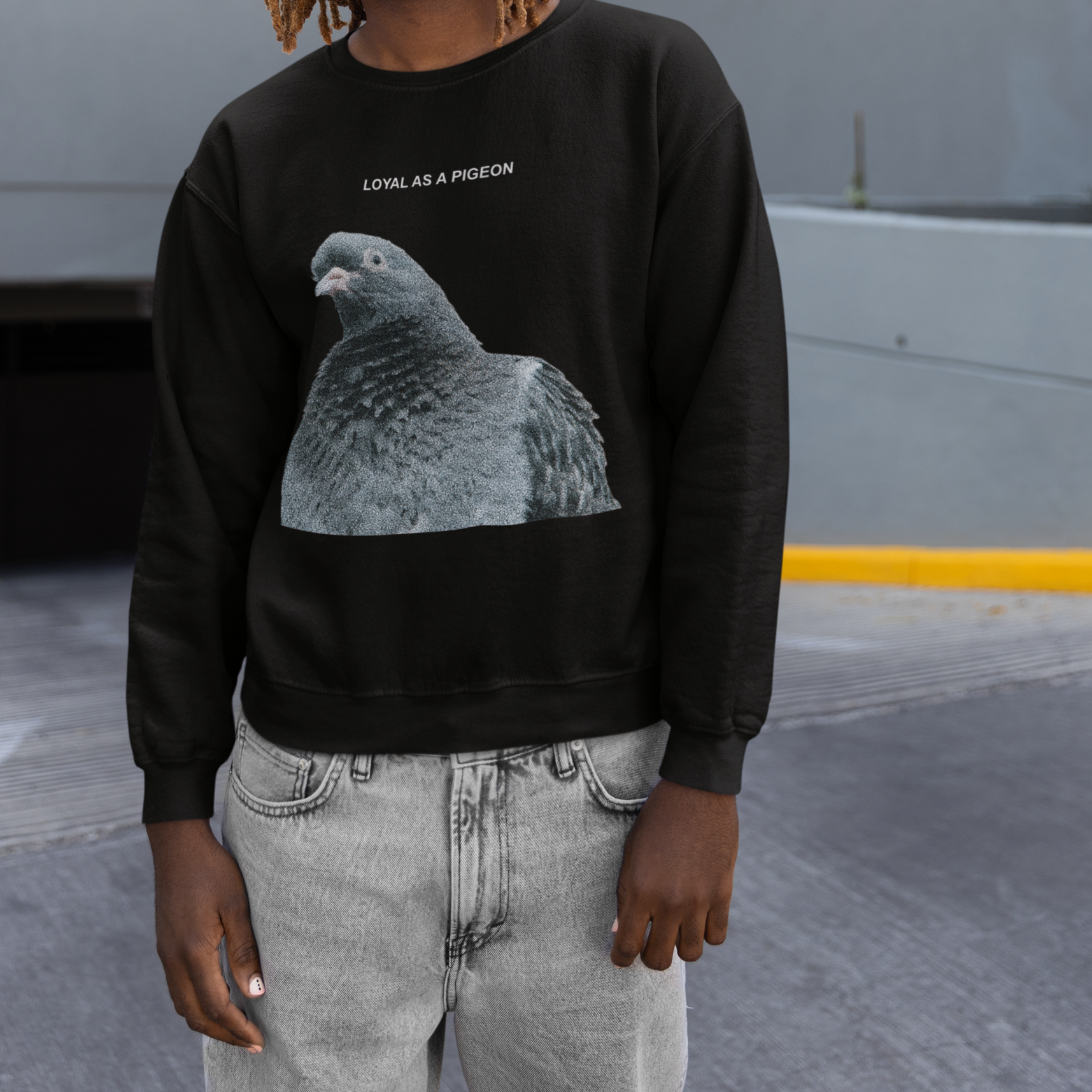 Sweat Pigeon LOYAL AS A PIGEON | Capsule ALCHIMIE