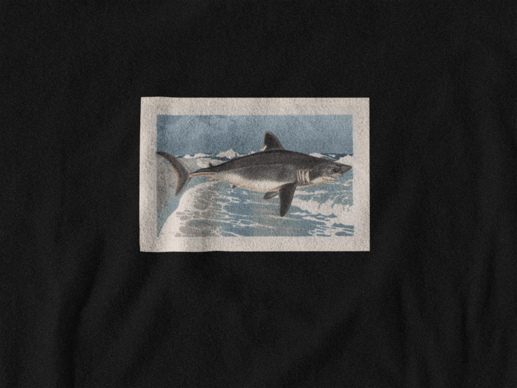 T-shirt Requin DEBUNK