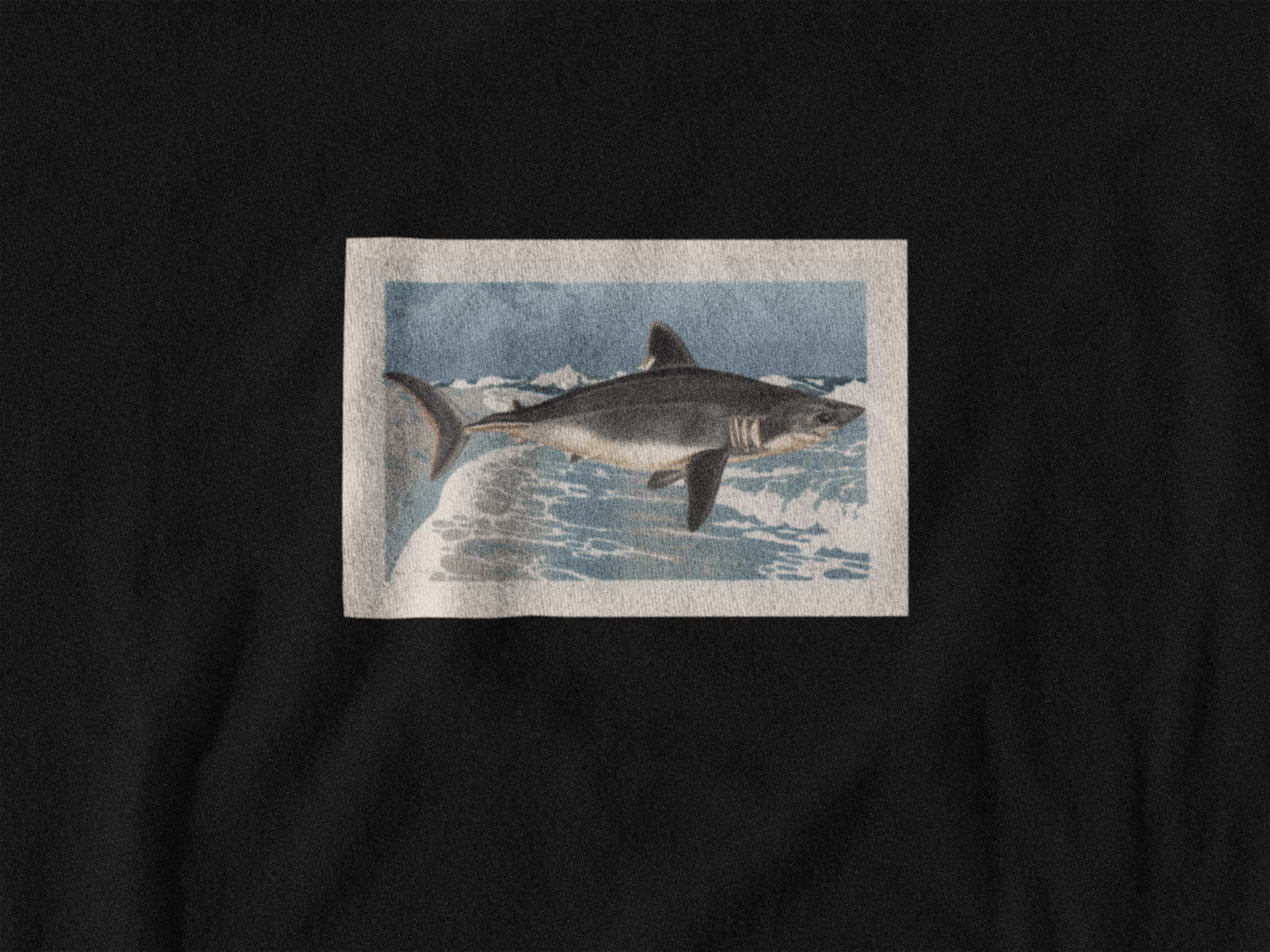 T-shirt Requin DEBUNK